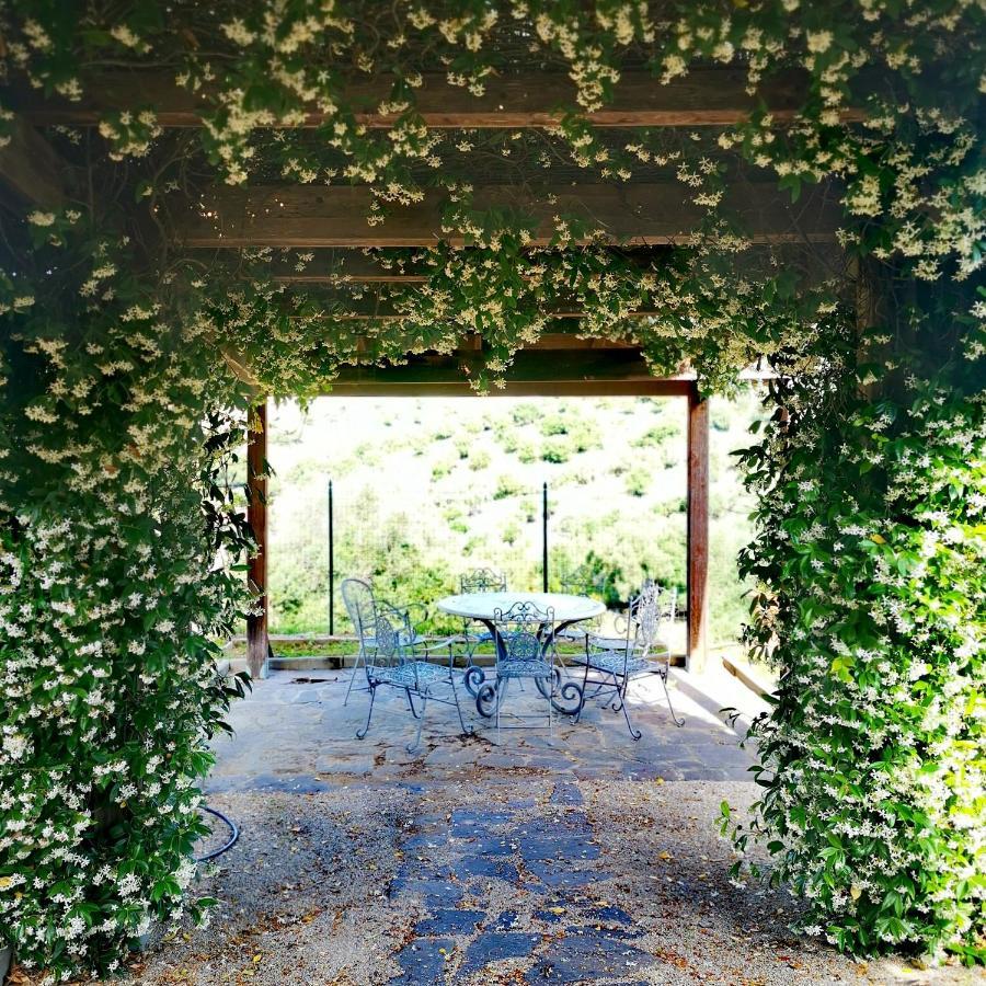 Fattoria Tolomei Campagnatico المظهر الخارجي الصورة