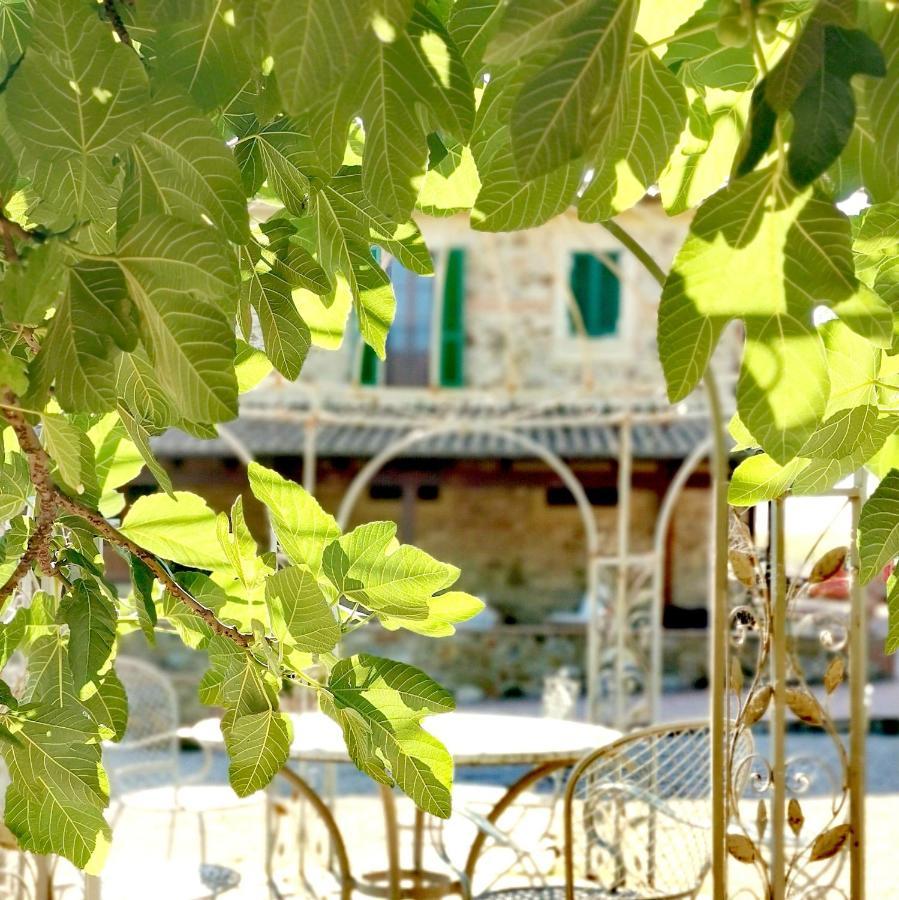 Fattoria Tolomei Campagnatico المظهر الخارجي الصورة