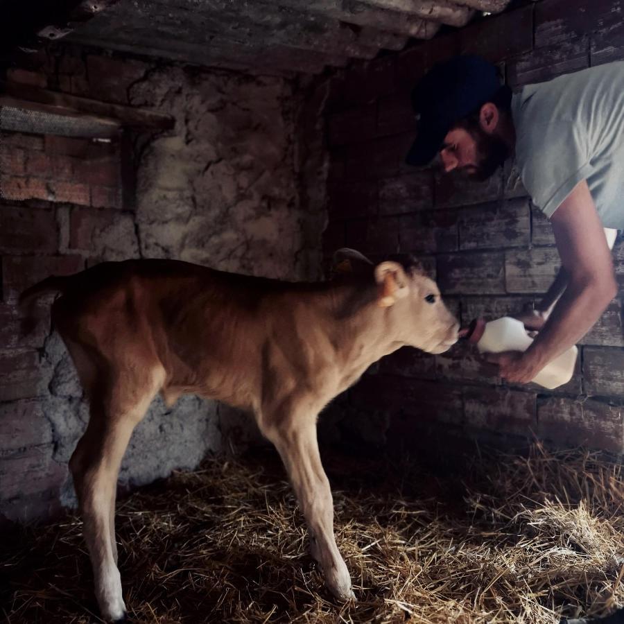 Fattoria Tolomei Campagnatico المظهر الخارجي الصورة
