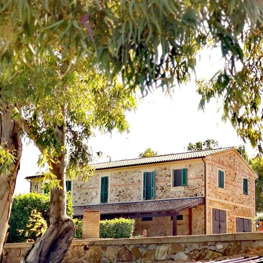 Fattoria Tolomei Campagnatico المظهر الخارجي الصورة