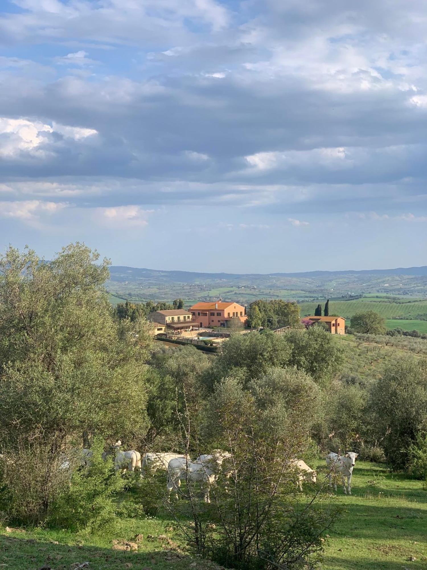 Fattoria Tolomei Campagnatico المظهر الخارجي الصورة