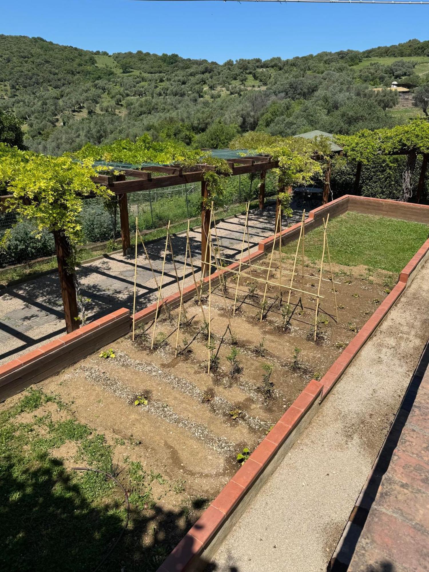 Fattoria Tolomei Campagnatico المظهر الخارجي الصورة
